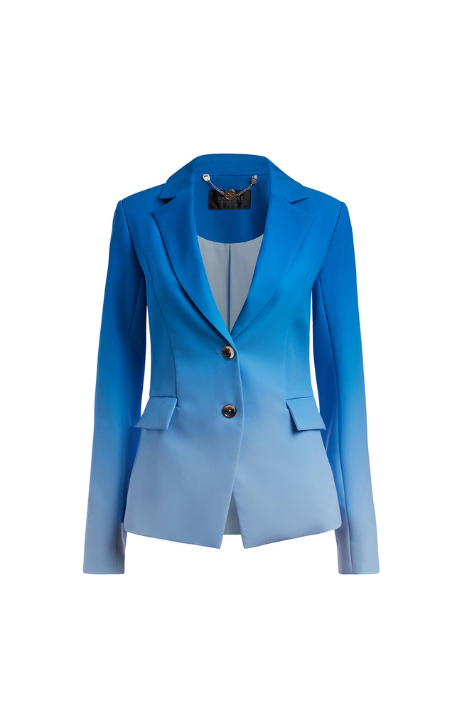Shop Carlisle Collection Bazaar Italian DoubleWeave Ombré Jacket