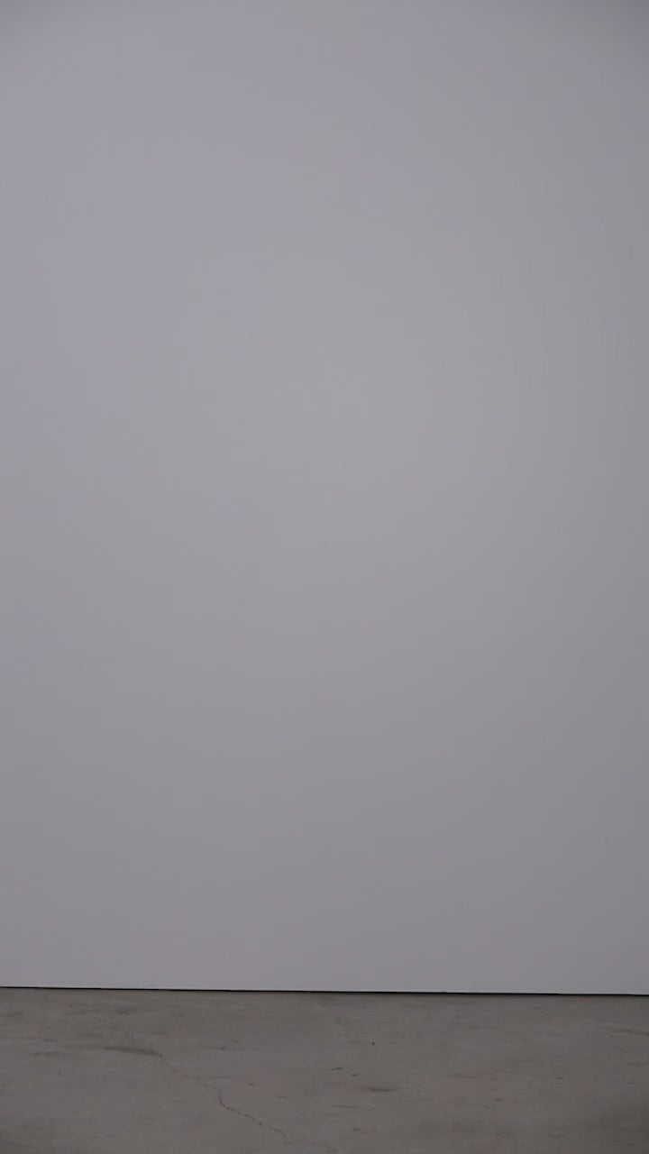 BELLINI-SHIRRED CASHMERE SWEATER-1-KN-1696-VIDEO