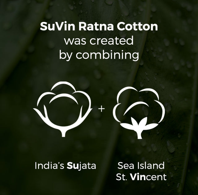 SuVin Ratna Cotton was created by combining India's Sujata with Sea Island St. Vincent cotton.